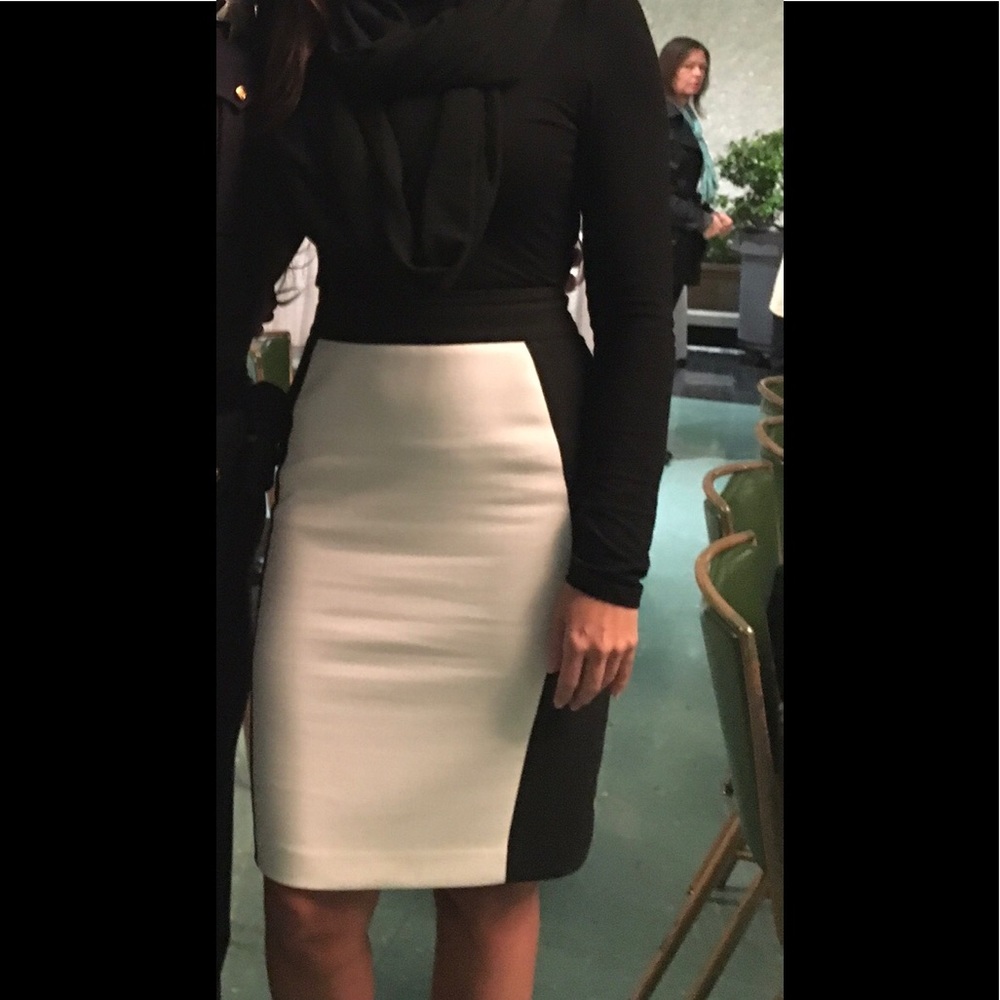 Zara Basic Skirt - image 7